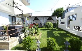 Vila Bliss
